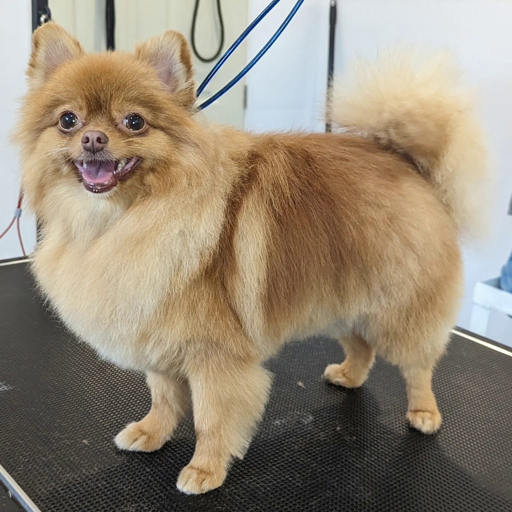 Clandeboye Dog Co. | 5618 Chriselle Pl, Lucan, ON N0M 2J0, Canada | Phone: (519) 641-9152