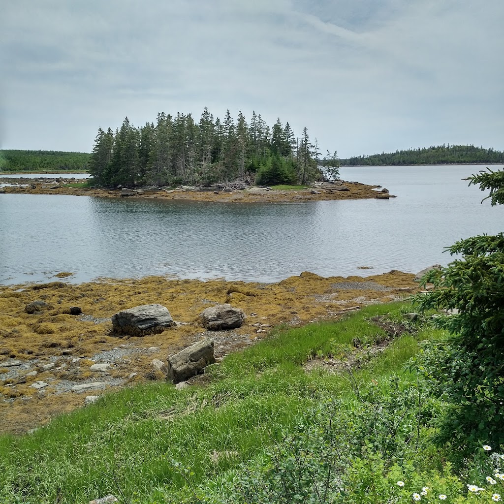 Black Duck Ocean View B & B. | 25245 Nova Scotia Trunk 7, Port Dufferin, NS B0J 2R0, Canada | Phone: (902) 654-2237
