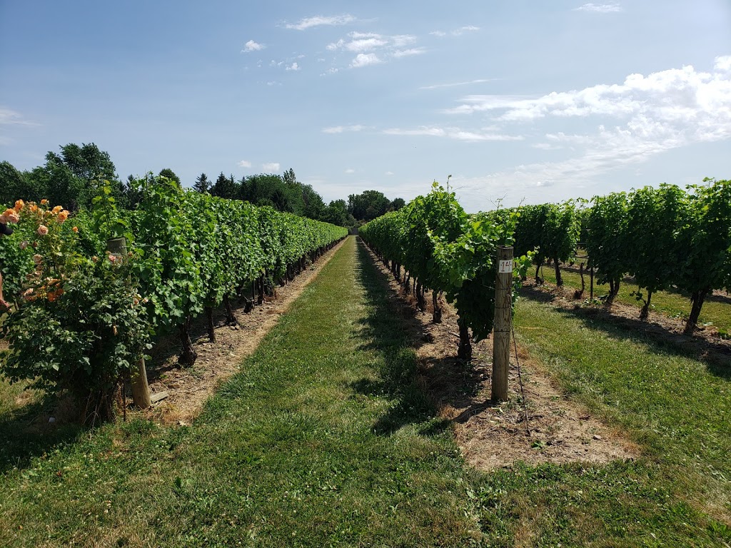 Reif Estate Winery | 15608 Niagara Pkwy, Niagara-on-the-Lake, ON L0S 1J0, Canada | Phone: (905) 468-9463