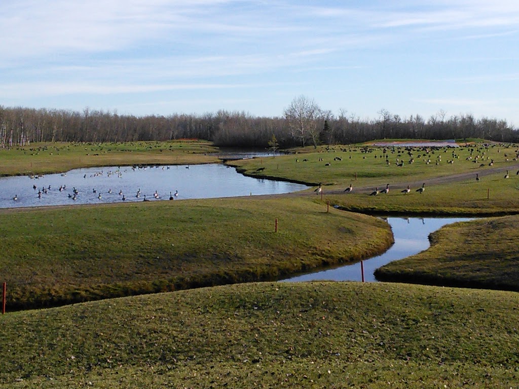 Transcona Golf Club | 2120 Dugald Rd, Winnipeg, MB R2C 3G7, Canada | Phone: (204) 222-6171