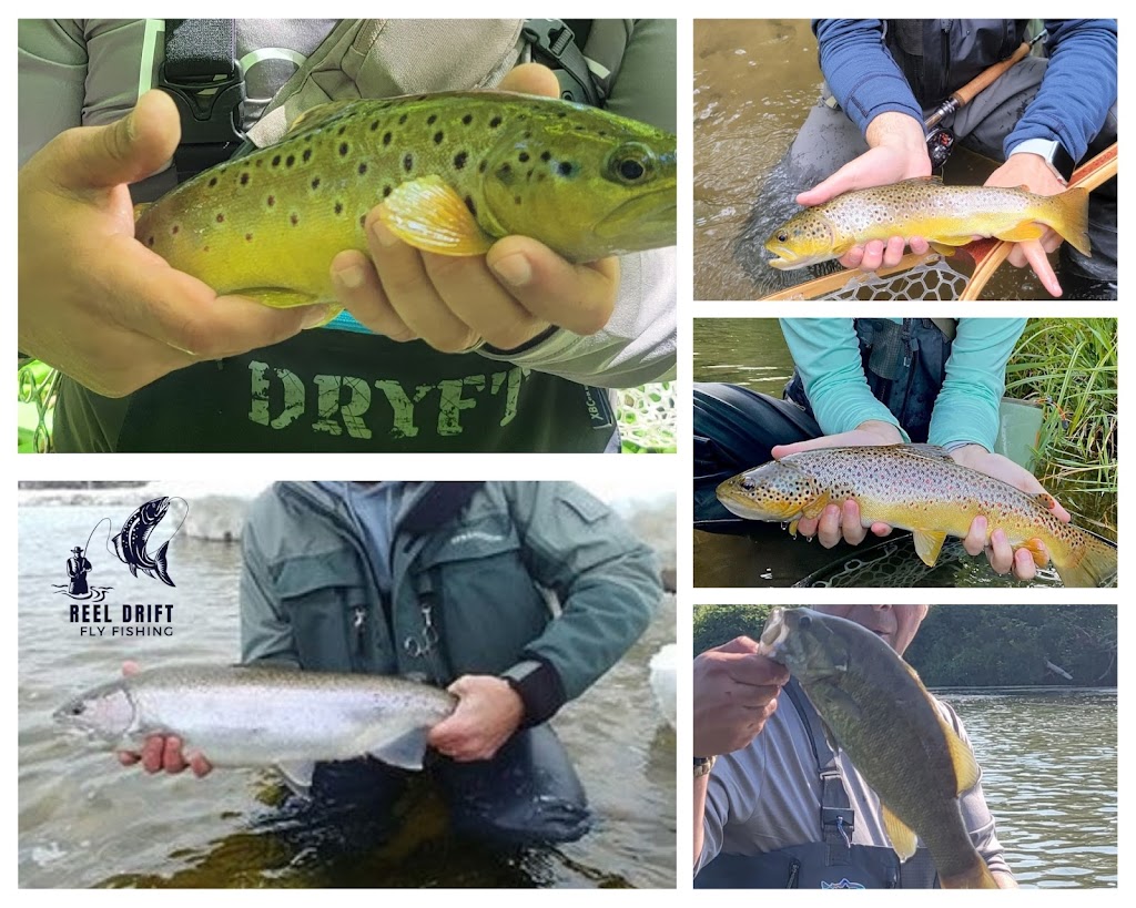 Reel Drift Fly Fishing | Norfolk County, ON N3Y 4J9, Canada | Phone: (519) 998-8665