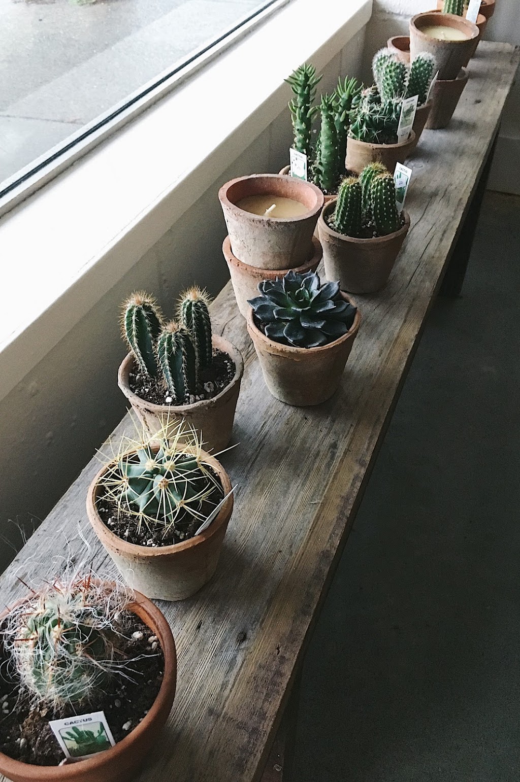 Flowers & Company | 1446 Johnston Rd, White Rock, BC V4B 3Z5, Canada | Phone: (604) 531-0015