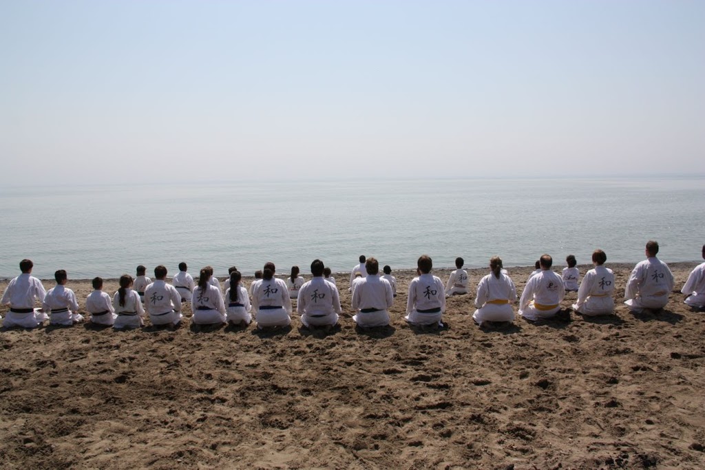 The Harmony Martial Arts & Fitness Center | 1755 Plummer St, Pickering, ON L1W 3L7, Canada | Phone: (905) 839-3488