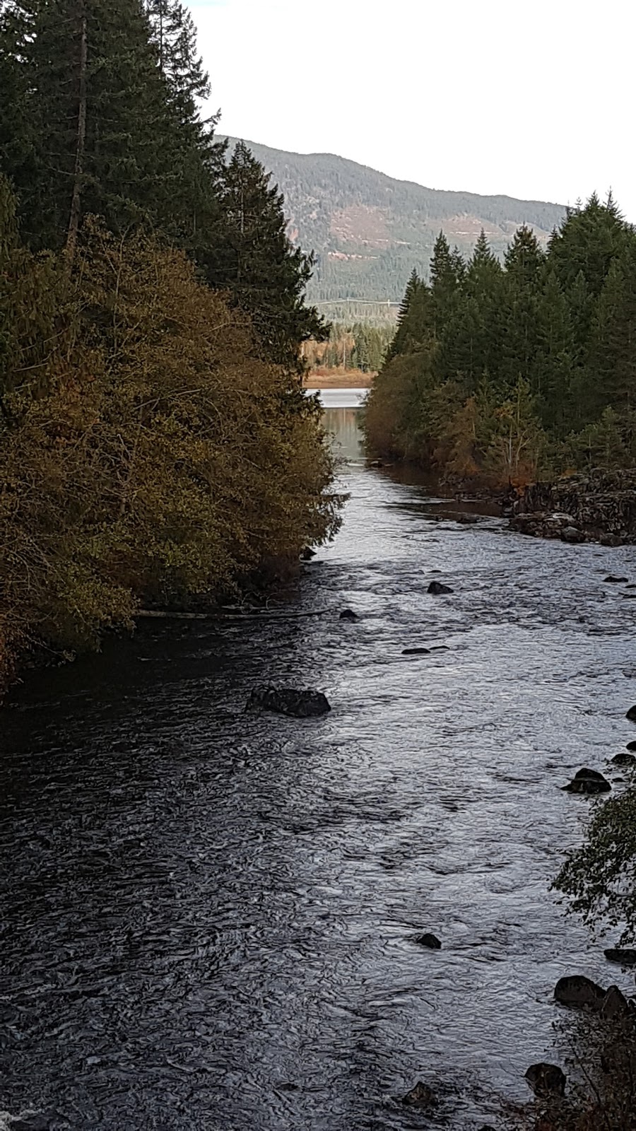 Nanaimo Lakes Deadwood Campground | Nanaimo River Rd, Nanaimo C, BC V0R 1V0, Canada | Phone: (250) 914-9525