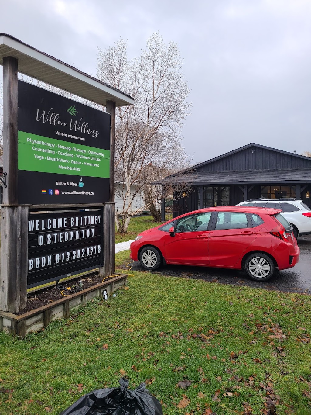 Willow Wellness | 5944 Perth St, Richmond, ON K0A 2Z0, Canada | Phone: (613) 362-6218