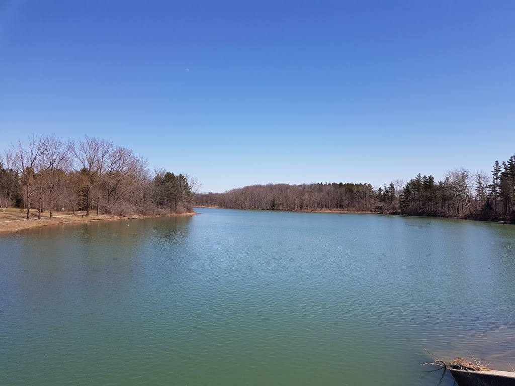 Morrison Dam Conservation Area | RR 3, 71108 Morrison Line, Exeter, ON N0M 1S5, Canada | Phone: (519) 235-2610