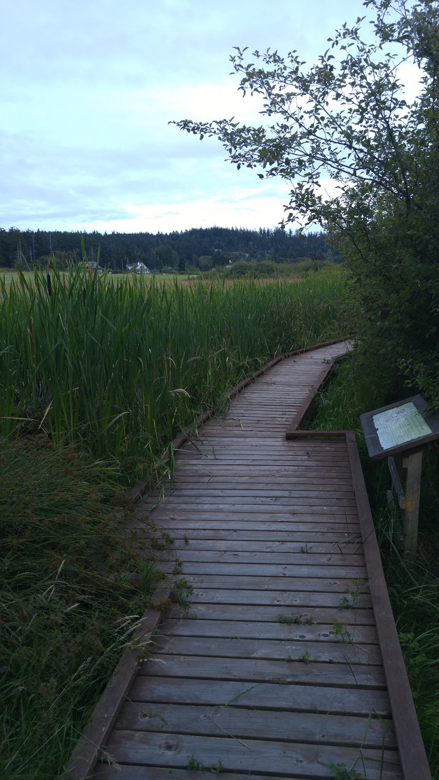 Weeks Wetland Preserve | 35-43 Weeks Point Way, Lopez Island, WA 98261, USA