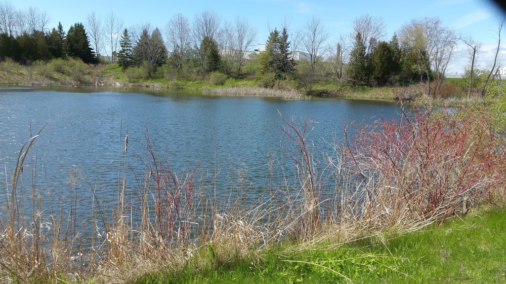 Duffin Creek W.P.C.P. Wildlife Pond | Pickering, ON L1W 3A3, Canada
