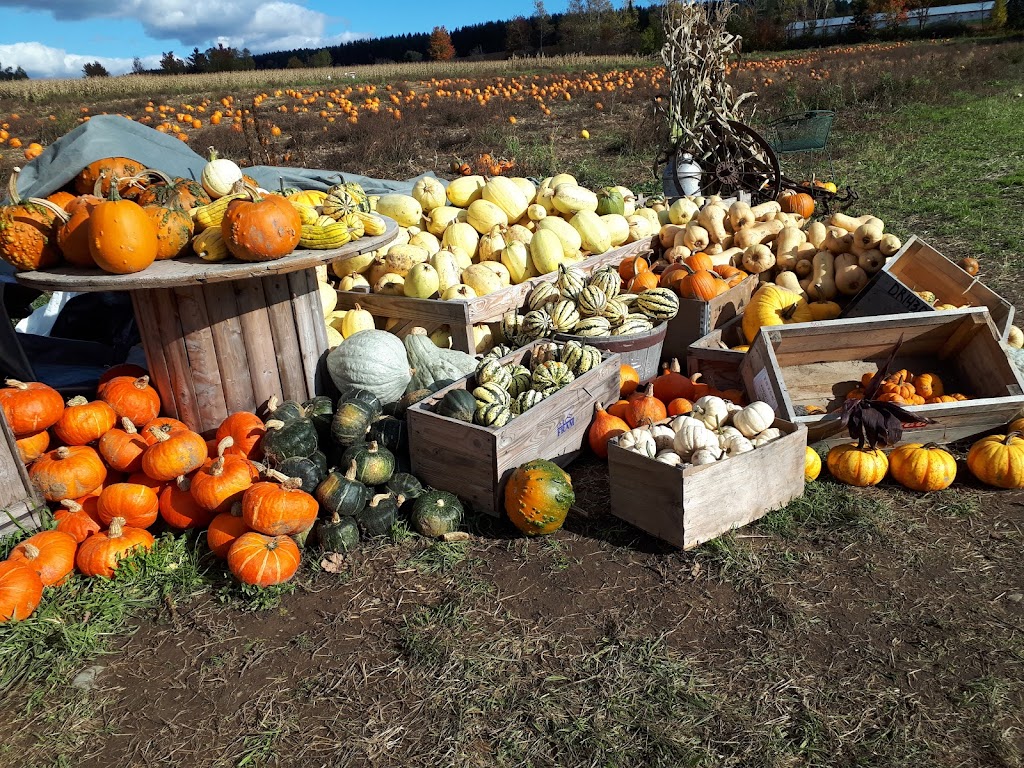 Ferme Simon Fortin Inc. | 1089 Québec 271 N, Sainte-Clotilde-de-Beauce, QC G0N 1C0, Canada | Phone: (418) 957-9464