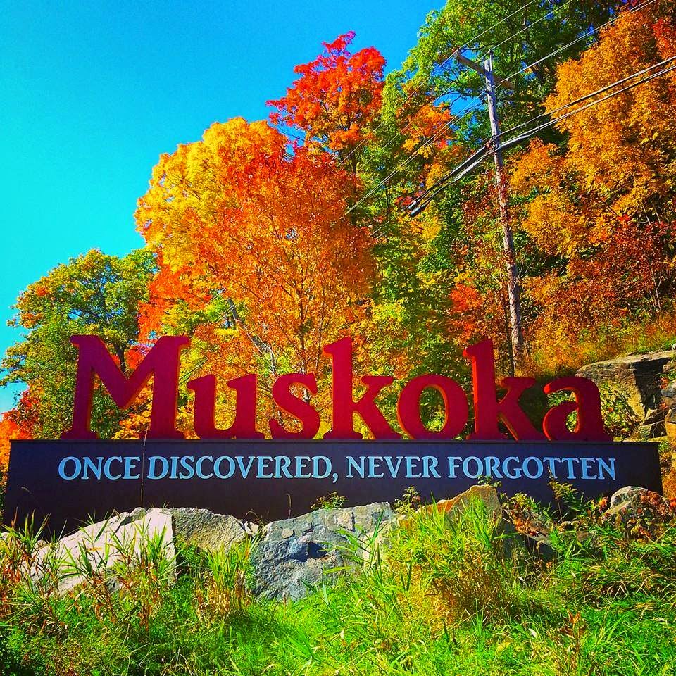 Muskoka Computers | 1630 Winhara Rd, Gravenhurst, ON P1P 1R1, Canada | Phone: (705) 952-1537