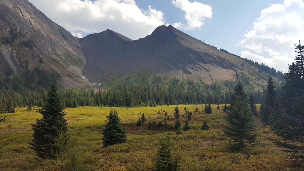 Bragg Creek Community Centre | 23 White Ave, Bragg Creek, AB T0L 0K0, Canada | Phone: (403) 949-4277