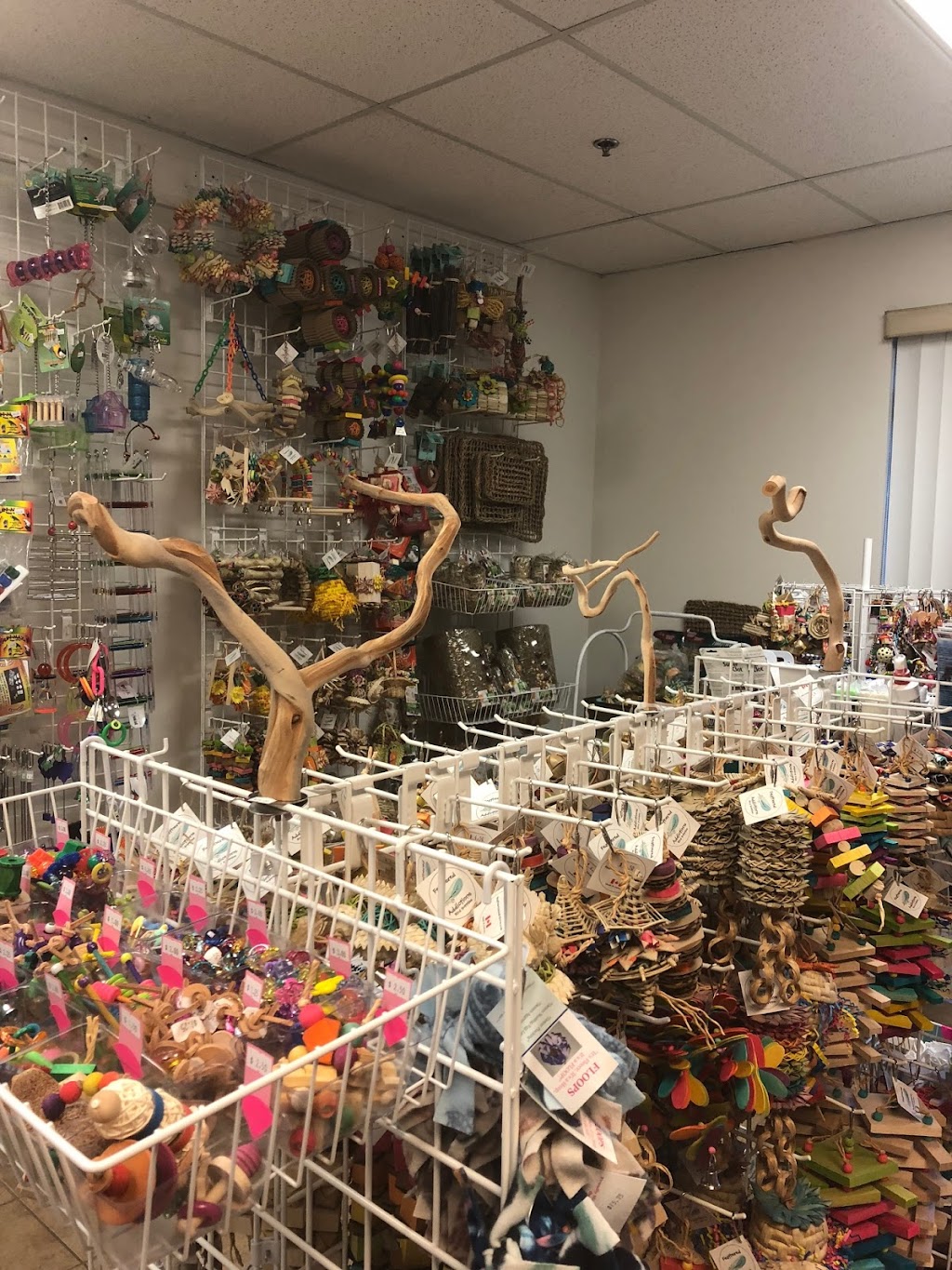 Feathered Addictions Bird and Small Animal Supplies | 1515 Broadway St Unit 600, Port Coquitlam, BC V3C 6M2, Canada | Phone: (778) 908-1705