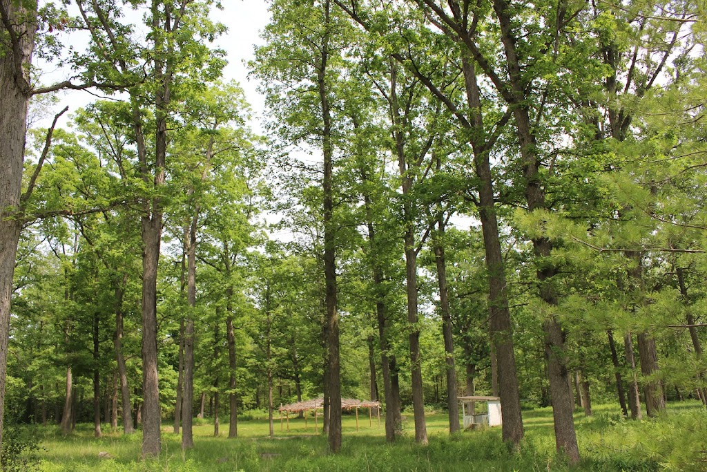 MNCFN Pow Wow Grounds | 2789 Mississauga Rd, Hagersville, ON N0A 1H0, Canada | Phone: (905) 768-1133