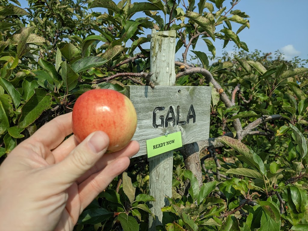 Great Lakes Farms | 5111 Union Rd, Port Stanley, ON N5L 1J2, Canada | Phone: (519) 782-3433