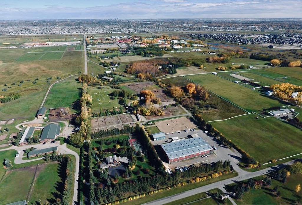 Silver Haven Equestrian Ltd. | 64104 198 Ave W, De Winton, AB T0L 0X0, Canada | Phone: (403) 801-6887