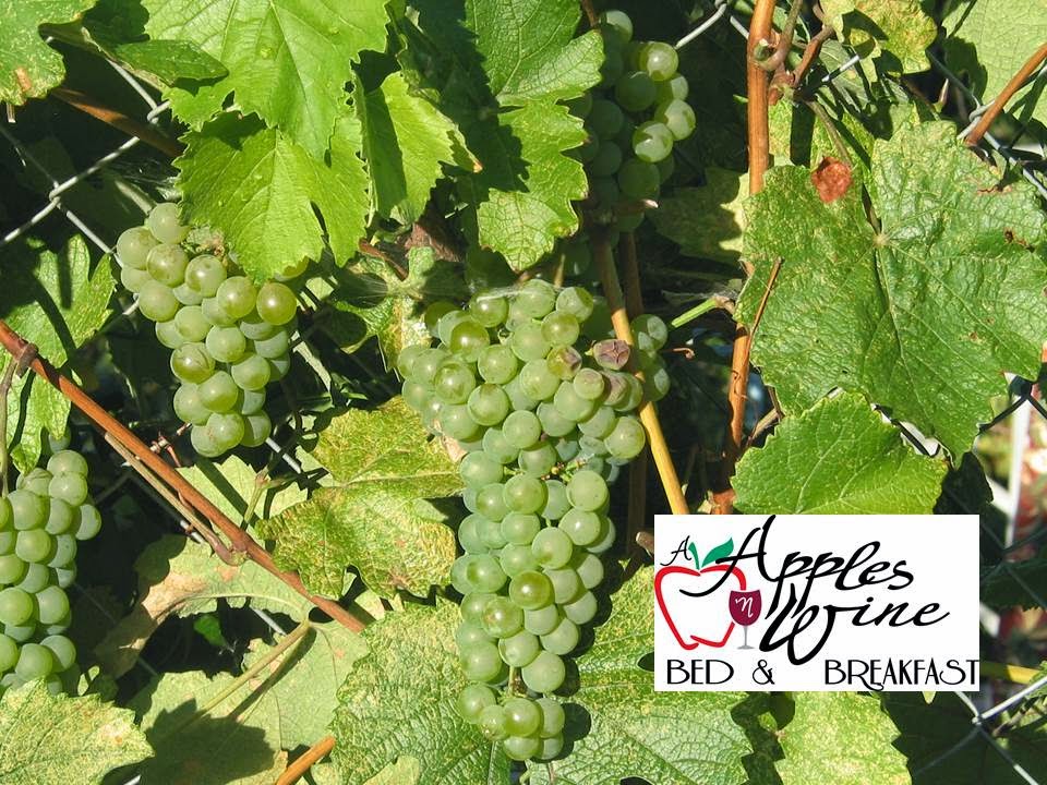 A Apples ~N~ Wine Bed & Breakfast | 5680 Hespeler Rd, Summerland, BC V0H 1Z4, Canada | Phone: (250) 404-0503