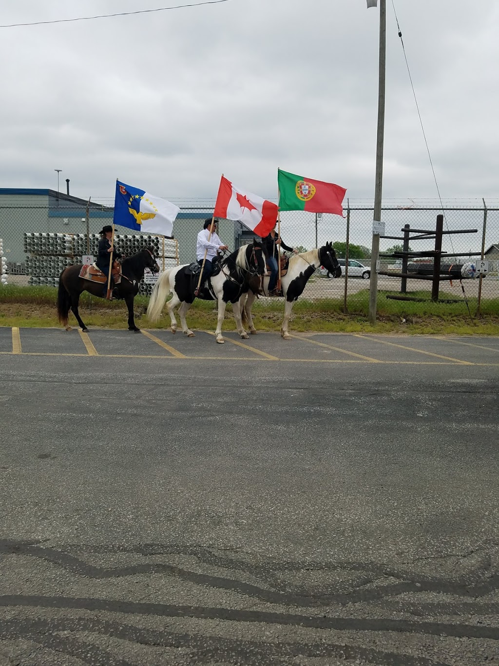 Leamington Portuguese Community Club | 217 Talbot St W, Leamington, ON N8H 1N8, Canada | Phone: (519) 326-5561