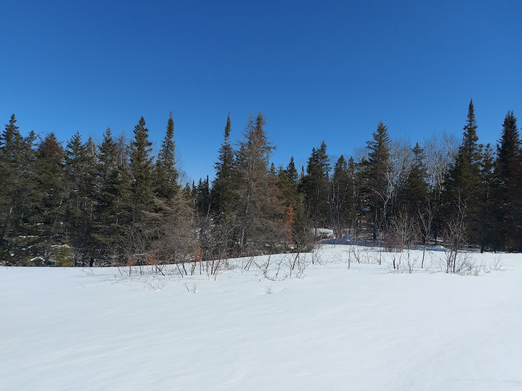 Sturgeon Falls Trail | Unnamed Rd, Pinawa, MB R0E 1L0, Canada | Phone: (204) 369-3157
