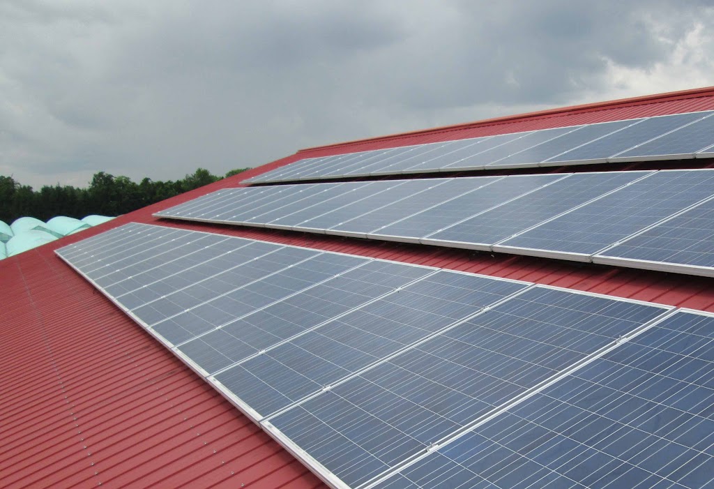 Harster Greenhouses | 250 Hamilton Regional Rd 8, Hamilton, ON L9H 5E1, Canada | Phone: (905) 628-2430