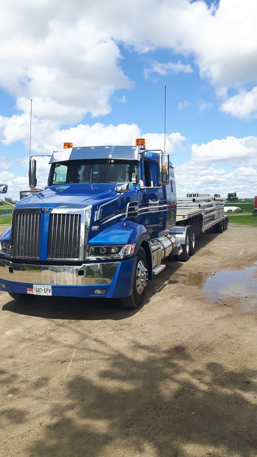 RK Animal Supplies Ltd. | 7647 Wellington Cty Rd 10, Moorefield, ON N0G 2K0, Canada | Phone: (800) 440-2694