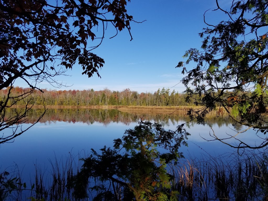 Greenock Swamp Wetland Complex | Greenock Swamp Wetland Complex, Chepstow, ON N0G 1K0, Canada | Phone: (519) 367-3040