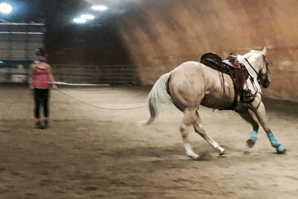 Hi Point Horsemanship | 42 Dacotah Rd, Dacotah, MB R4K 1C1, Canada | Phone: (204) 995-0048