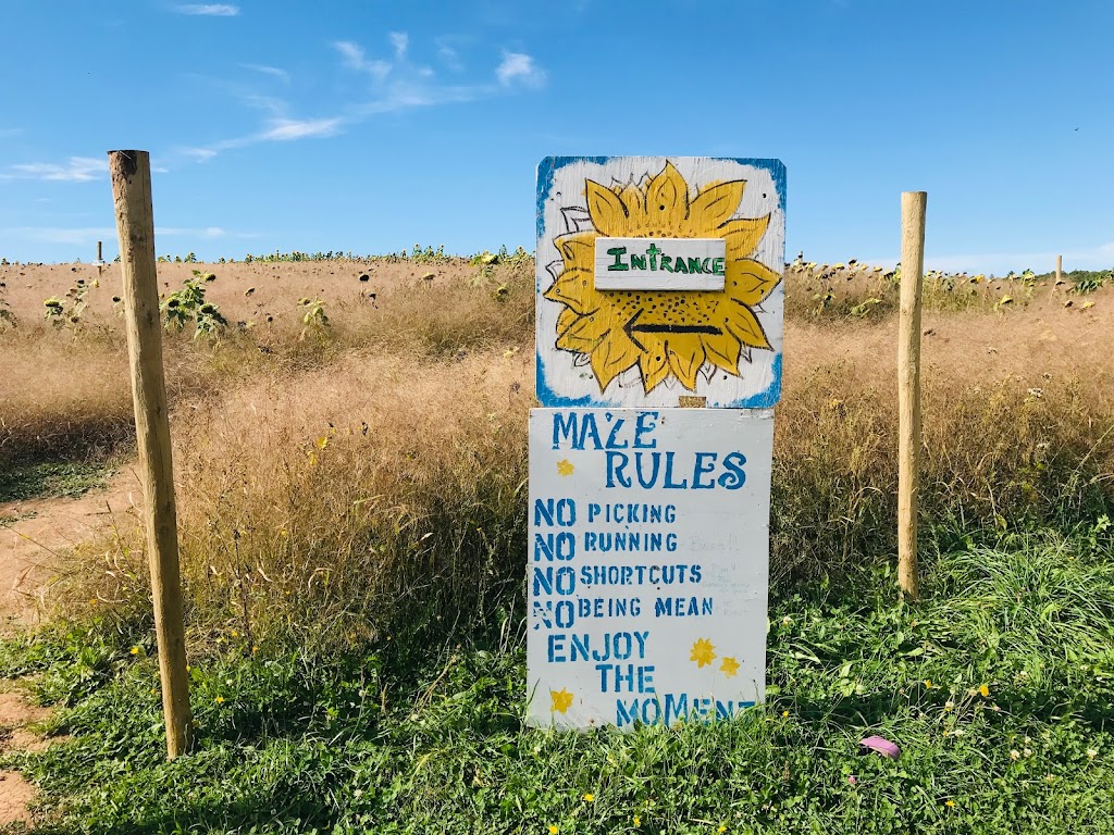 Dakeyne Farm | 1137 Nova Scotia Trunk 1, Falmouth, NS B0P 1L0, Canada | Phone: (902) 790-0542