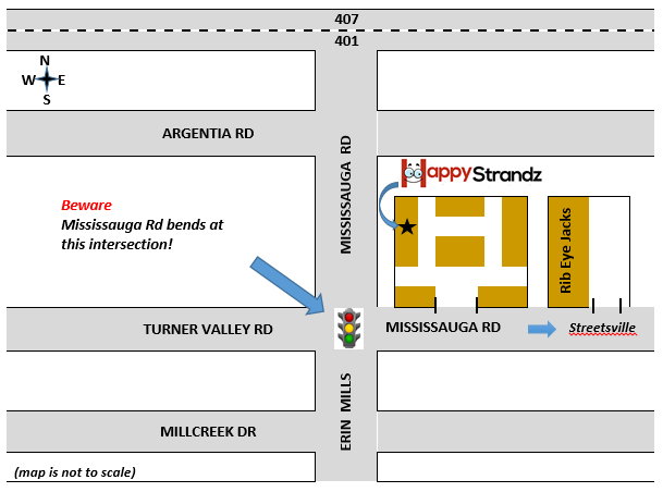 Happy Strandz | 6553 Mississauga Rd c, Mississauga, ON L5N 1A6, Canada | Phone: (416) 928-0022