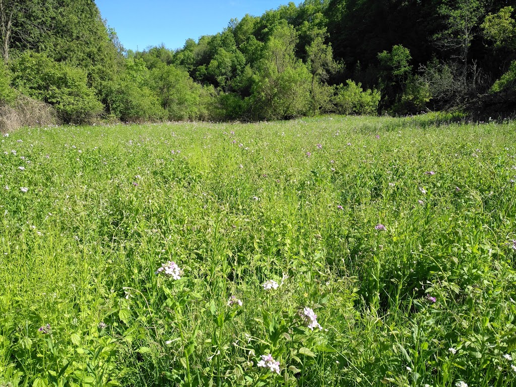 Edelweiss Park | 320 Glasgow Rd, Caledon, ON L7C 3L9, Canada | Phone: (905) 584-2272