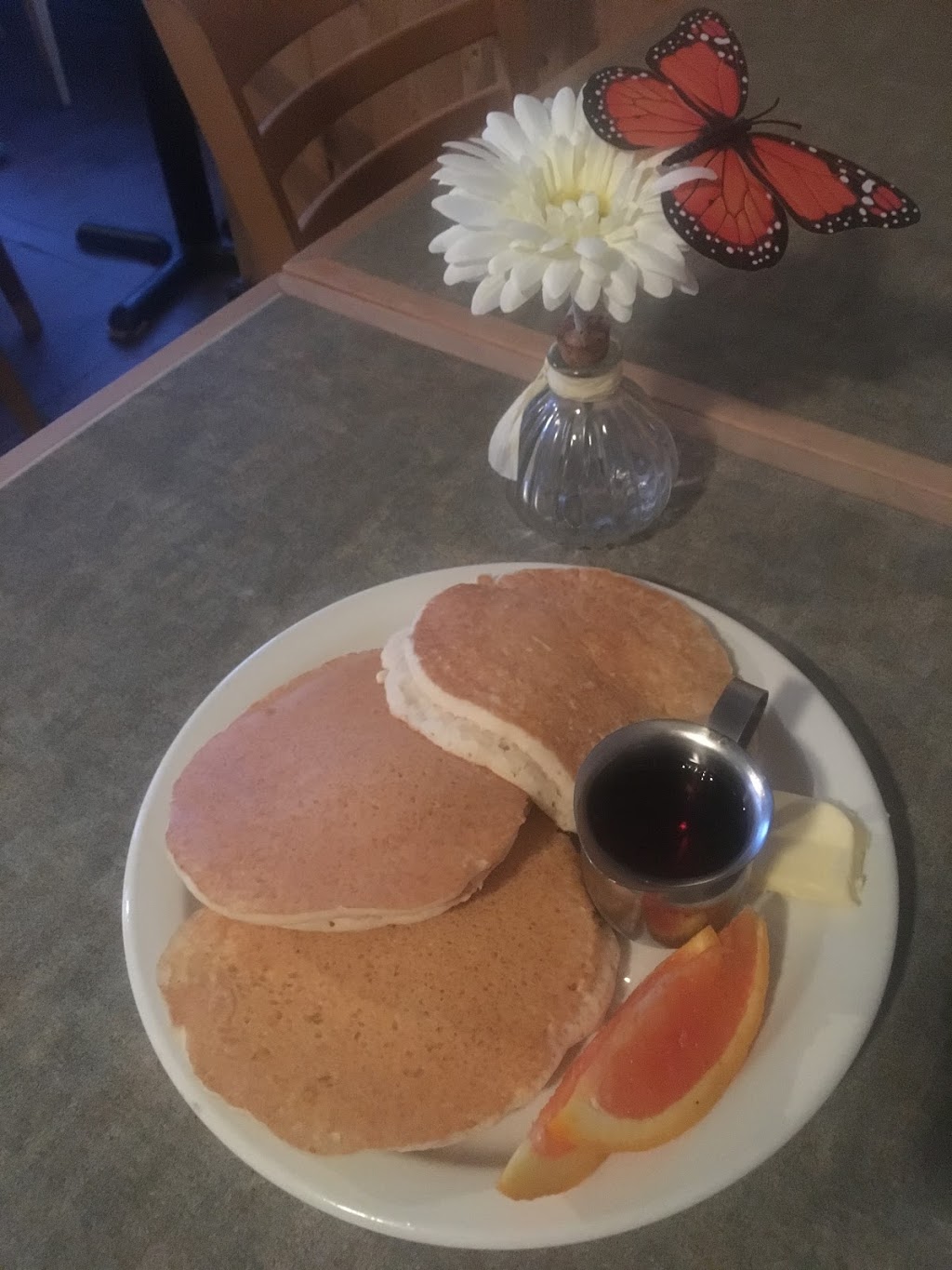 The Monarch and The Milkweed | 5548 Hwy 620, Coe Hill, ON K0L 1P0, Canada | Phone: (905) 933-5073