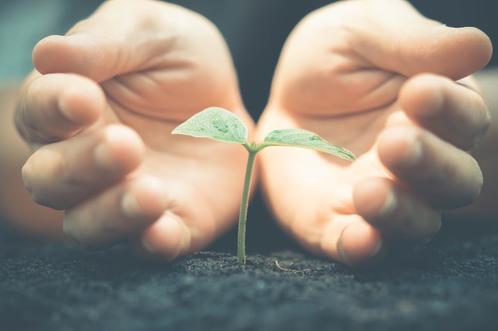 Blue Oaks Counselling and Wellness | 82 Hume St, Collingwood, ON L9Y 1V4, Canada | Phone: (705) 444-0381