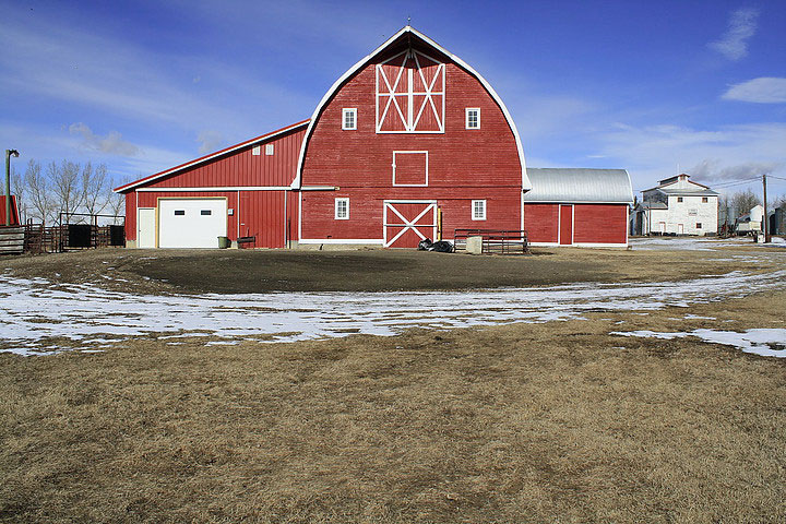 Penwest Seeds - Wheat Seed Alberta | 1307 6 Ave N, Three Hills, AB T0M 2A0, Canada | Phone: (403) 443-2577