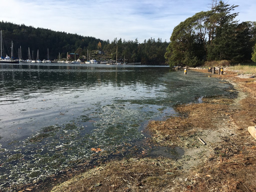 Deer Harbor Preserve | Salish Sea, Eastsound, WA 98245, USA