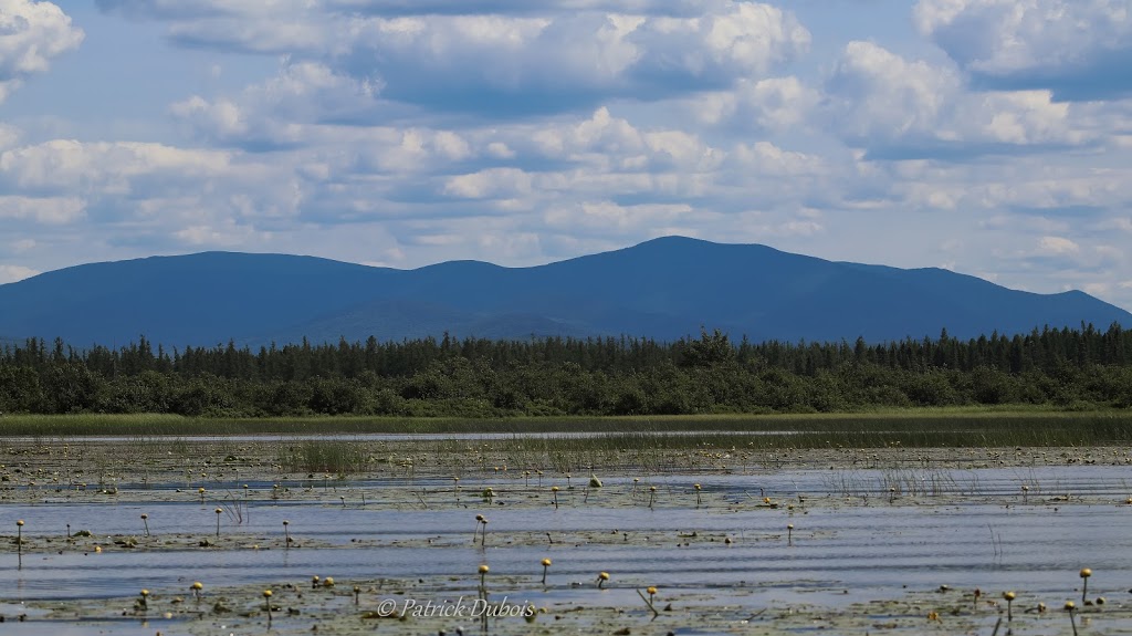 Halte routière Joseph-Alfred Fontaine | Woburn, QC G0Y 1R0, Canada | Phone: (819) 544-4211