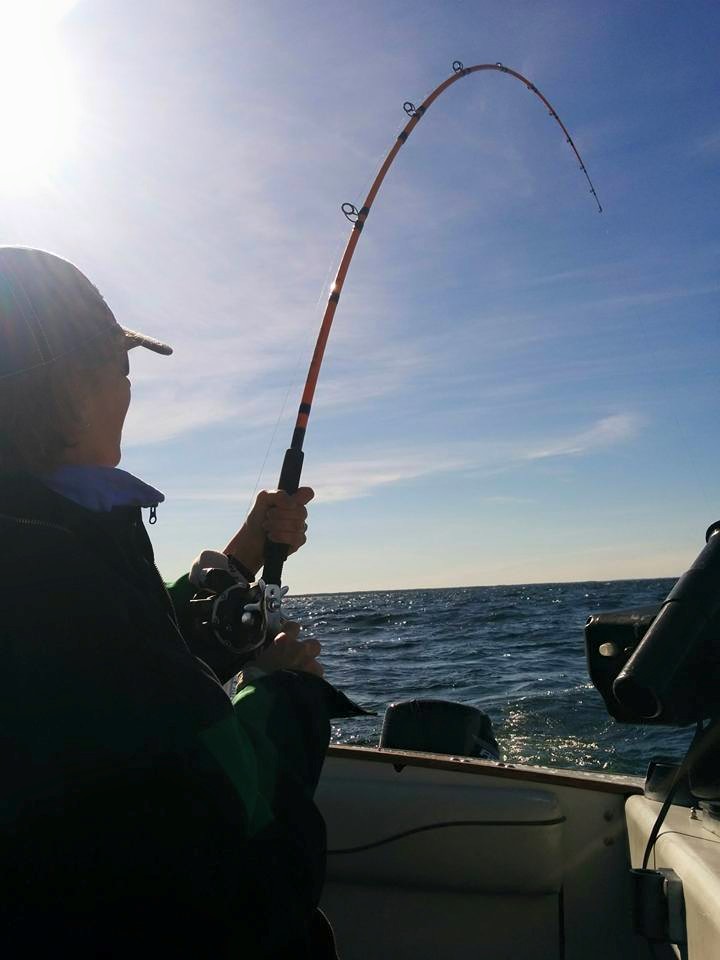 Happy Go Fishing Charters & Bait Shop | 2458 25th Side Rd, Innisfil, ON L9S 2H1, Canada | Phone: (705) 294-2514