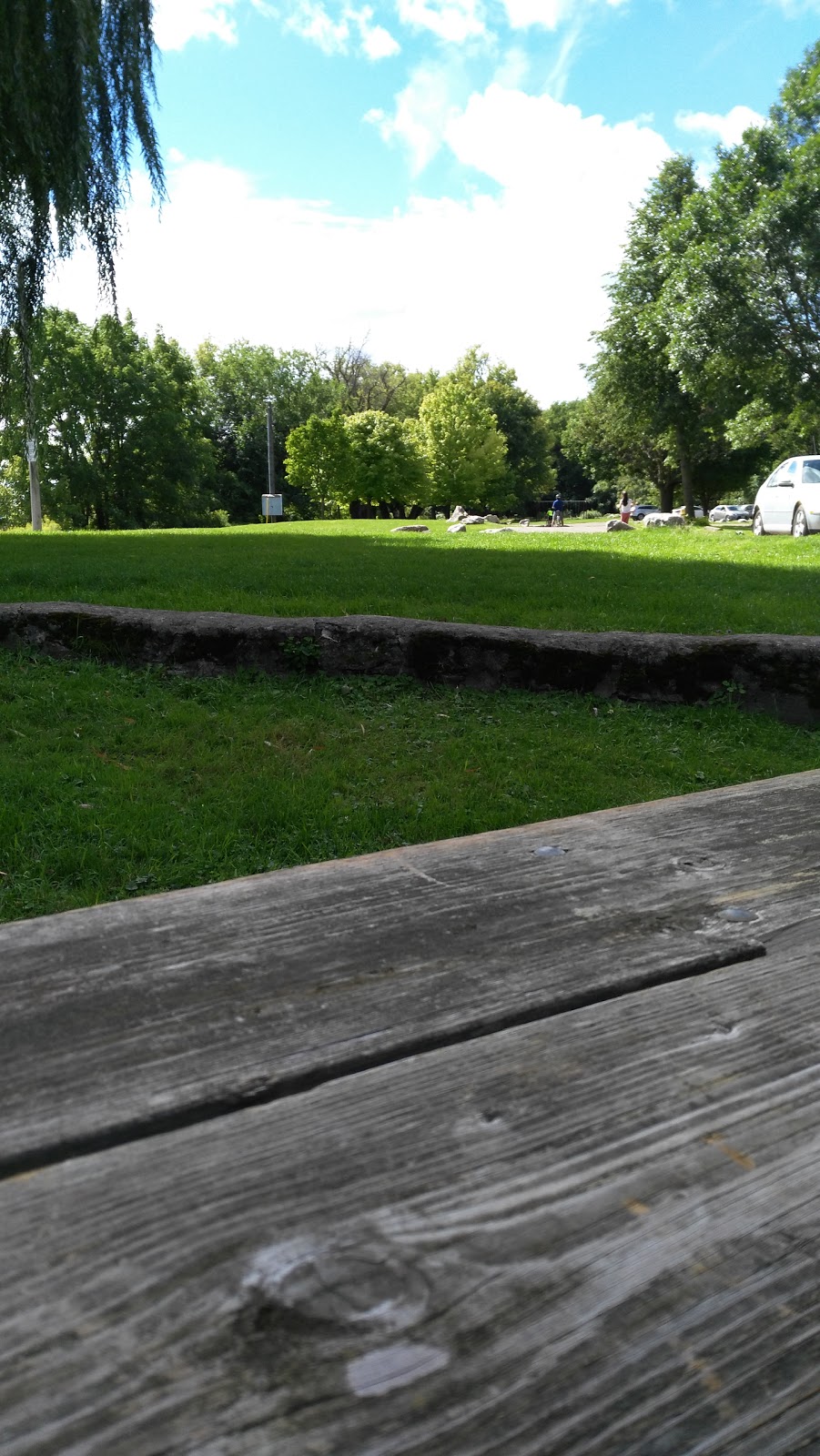 Cambridge Rowing Club | George St N, Cambridge, ON N1S 4X6, Canada | Phone: (226) 218-1335