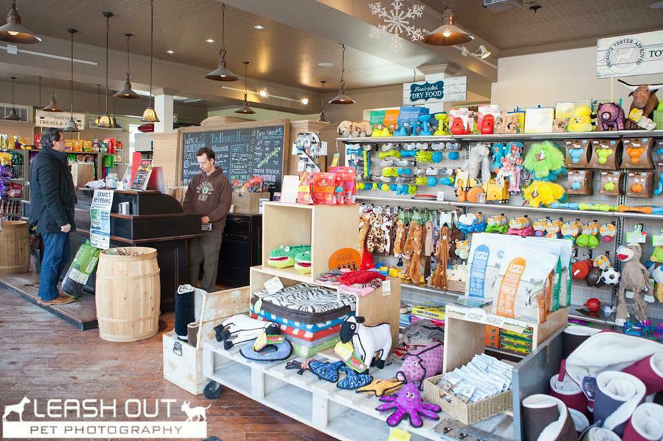 BauHound Haus Inc. | 276 Main St E, Milton, ON L9T 1P3, Canada | Phone: (905) 878-5550