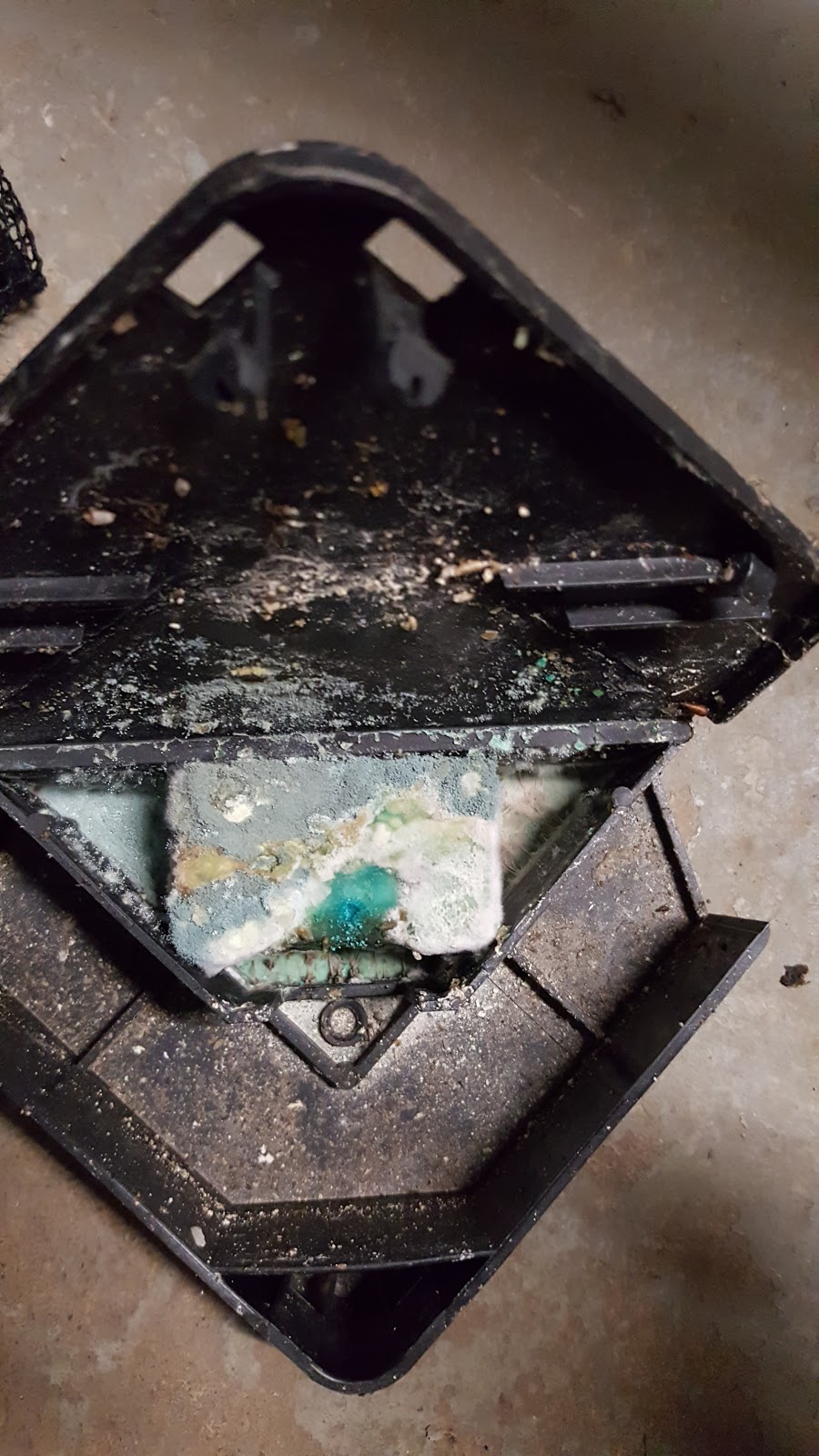 Toronto Pest Control | 25 Seeley Dr, North York, ON M3M 2V7, Canada | Phone: (647) 997-5080