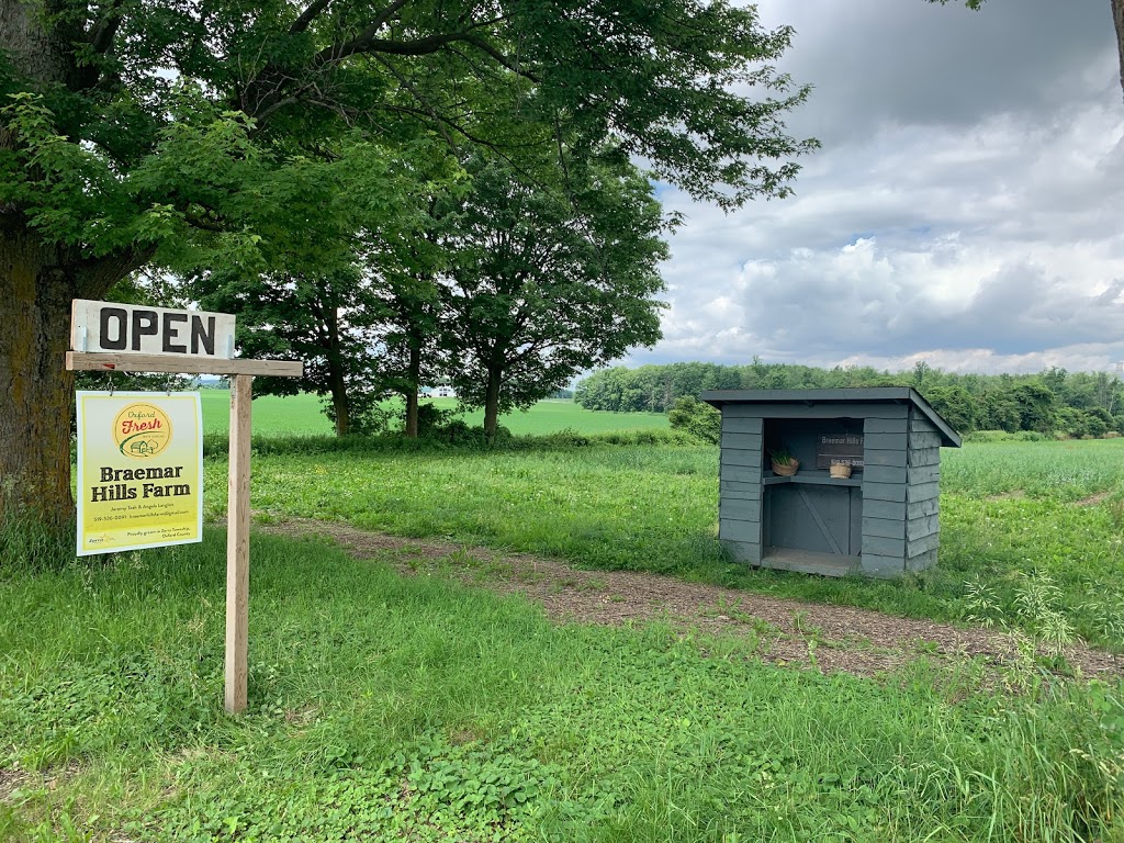 Braemar Hills Farm | 844251 Rd 84, Embro, ON N0J 1J0, Canada | Phone: (519) 536-0091