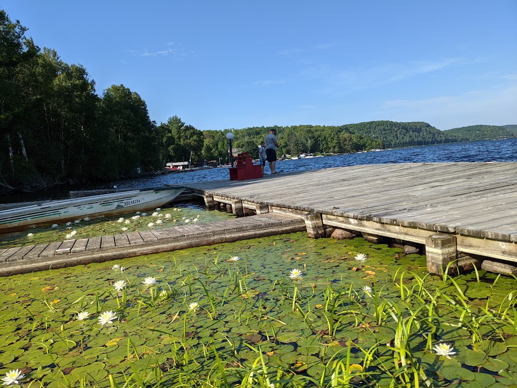 Birch Cliff Lodge | Hastings Highlands, ON K0L 1C0, Canada | Phone: (613) 332-3316