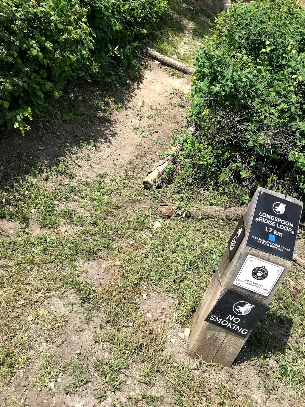 Longspoon Loop | Longspoon Dr, Vernon, BC V1H 2K2, Canada