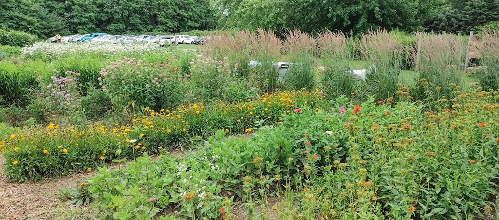 Wildflowers Farm | 42338 Fruit Ridge Line, St Thomas, ON N5P 3S9, Canada | Phone: (226) 926-6432