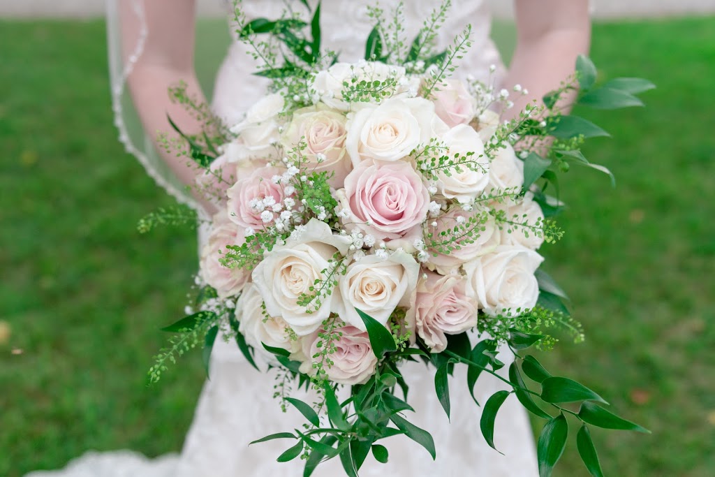 Steven Taylor Photography - Wallaceburg | 163 Mt Pleasant Crescent, Wallaceburg, ON N8A 5A3, Canada | Phone: (519) 784-4930