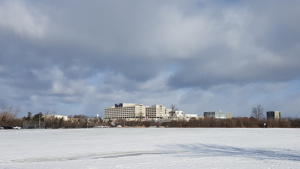 Hanns Lochmüller | CHEO Research Institute, 401 Smyth Rd, Ottawa, ON K1H 8L1, Canada | Phone: (613) 737-8899 ext. 78917