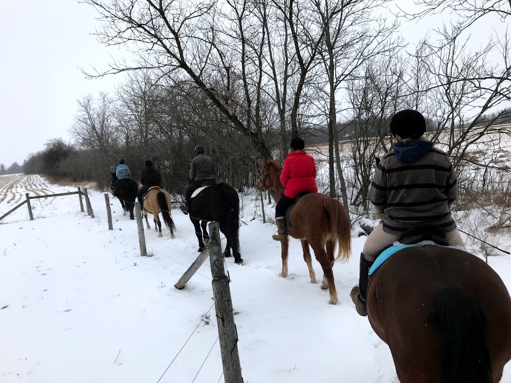Vanwell Stables | 112 Big Creek Rd, Caledonia, ON N3W 2G9, Canada | Phone: (519) 802-5365