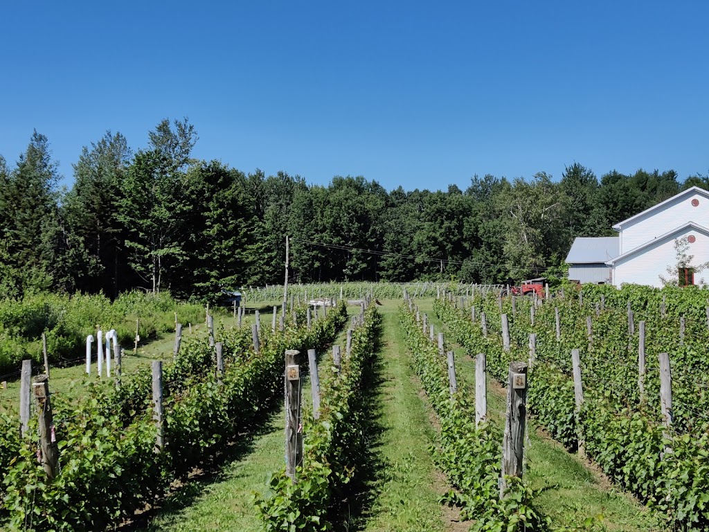 Domaine Bergeville | 1030 Chem. Sherbrooke, Hatley, QC J0B 2C0, Canada | Phone: (819) 842-1026