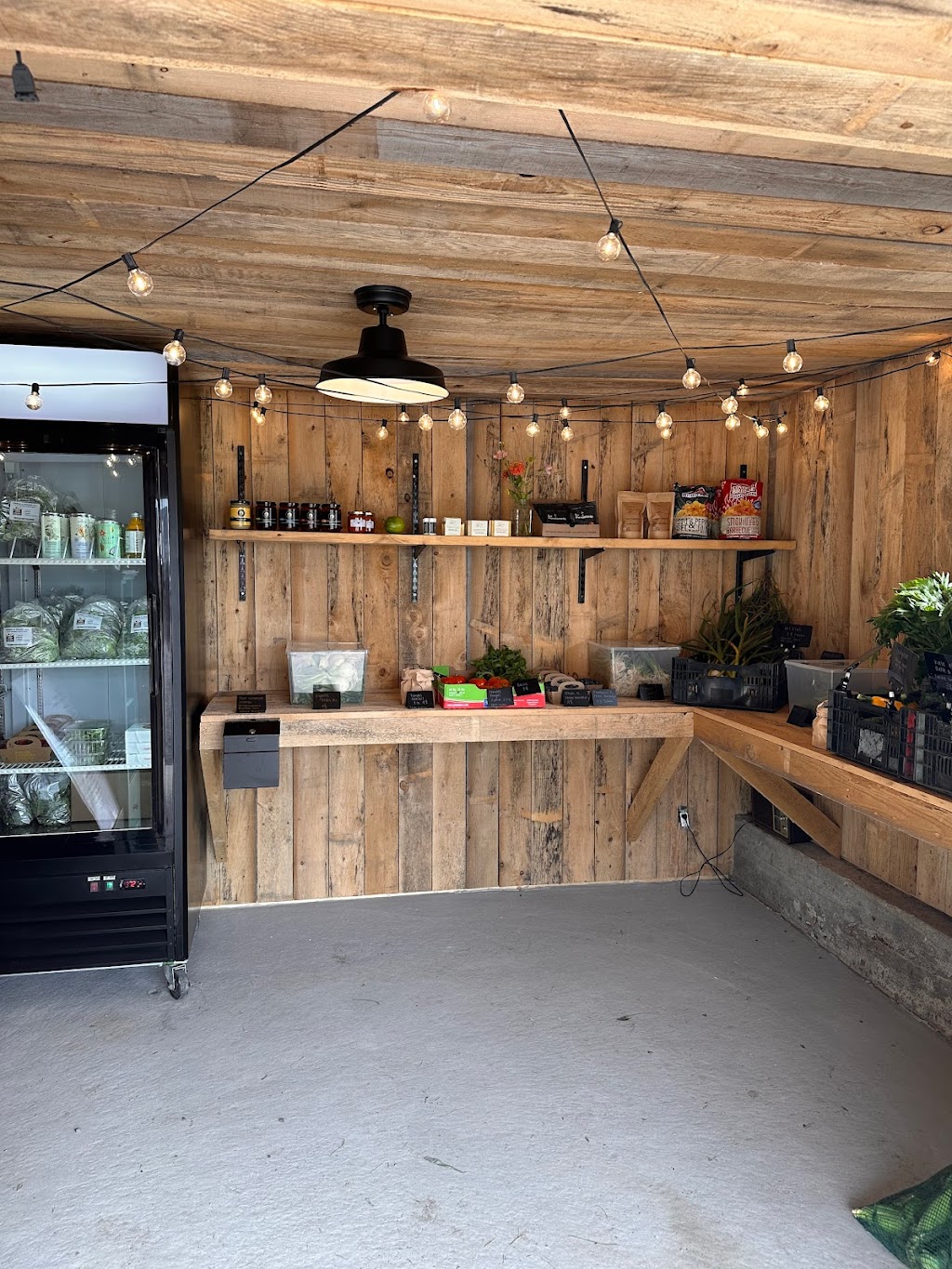 Ferme Racine Commune | 105 Rue Notre-Dame, Lavaltrie, QC J5T 1N8, Canada | Phone: (514) 206-3936