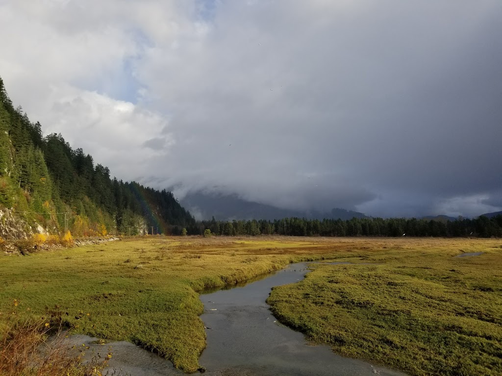 Lake Errock | 12171 Hodgkin RD 265box, Lake Errock, BC V0M 1M0, Canada | Phone: (604) 628-8726