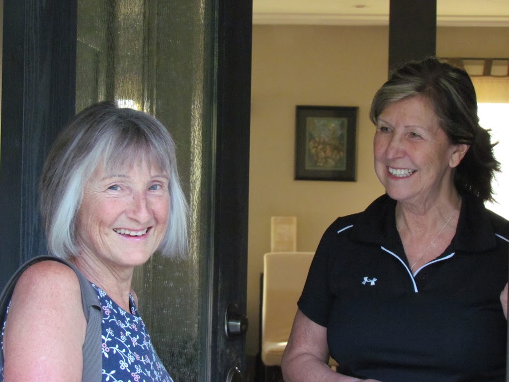 Mobile Physiotherapy Solutions - South Okanagan | 160 Highland Dr, Okanagan Falls, BC V0H 1R3, Canada | Phone: (250) 487-8835