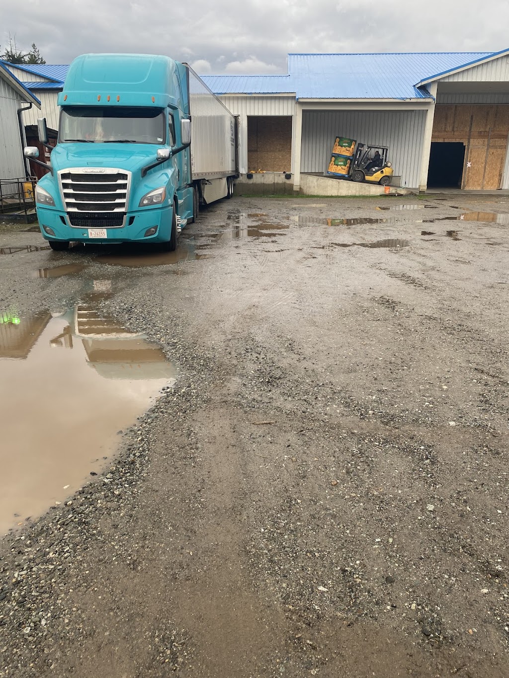 Somal Brothers Ltd. | 3643 14 St NW, Edmonton, AB T6T 0J2, Canada | Phone: (780) 805-0000